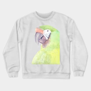 military macaw watercolor portrait parrot painting Crewneck Sweatshirt